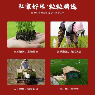 【华粮帝稻】五常大米2.5kg 双层真空装 五常原产地 一件代发包邮图3