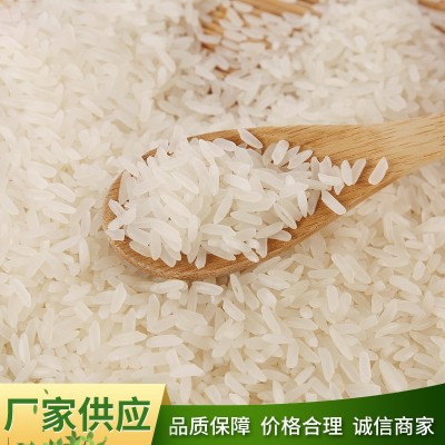 精诚食品 厂家批发福塘香 软香大米 基地种植5KG真空浓香大米图2