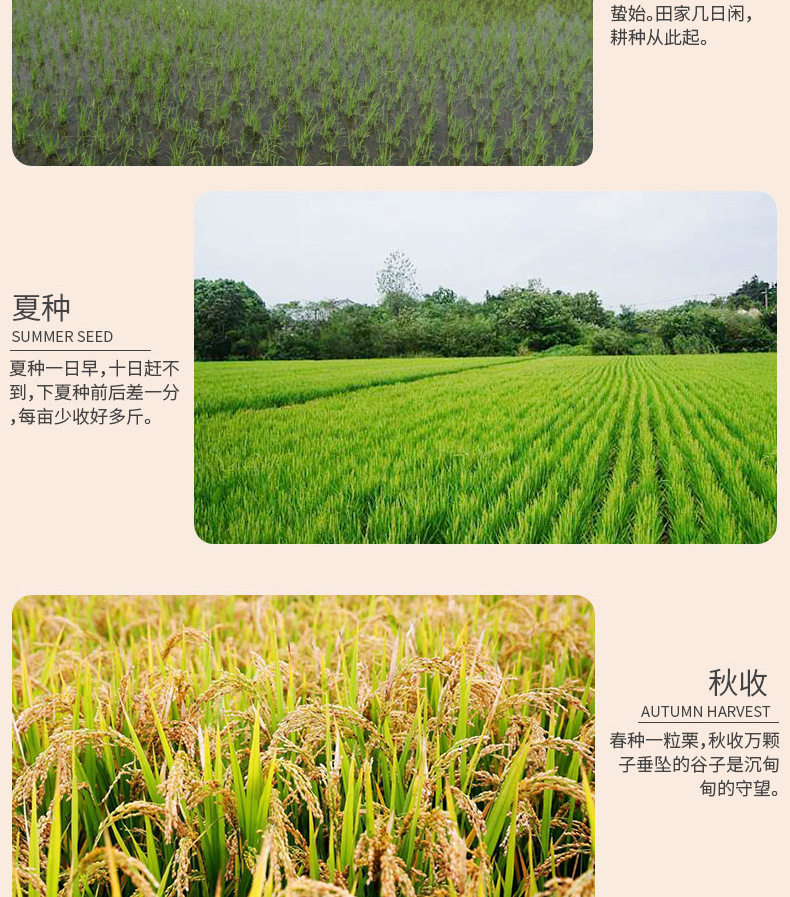 41、有机大米详情页_05