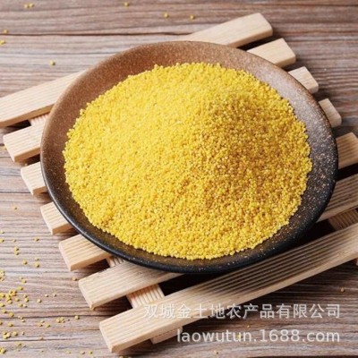老五屯月子米 厂家批发东北有机小米农家养生熬粥食用杂粮 黄小米图3
