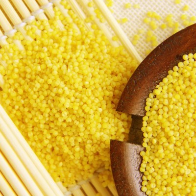 东北特产厂家直供老五屯有机小米 黄小米真空包装400g/块粗粮粥米图2