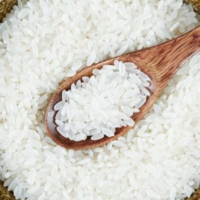 【25新米】五常大米5kg稻花香东北2号米软糯香甜现磨现发厂家批发图3