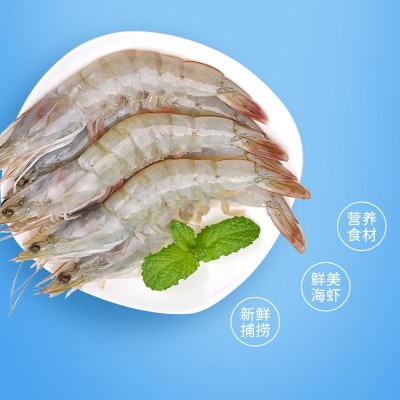 冻虾生鲜餐饮烹饪食材肉质鲜甜美味大海虾新鲜捕捞活冻大虾定制