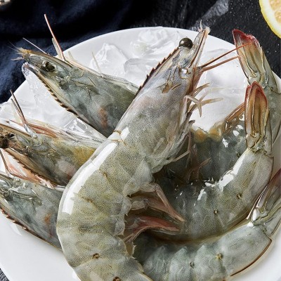 肉质鲜嫩活冻鲜虾新鲜捕捞活冻大虾新鲜冻虾生鲜餐饮烹饪营养食材