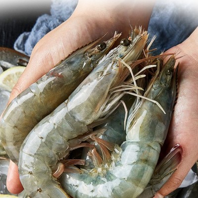 肉质鲜嫩活冻鲜虾新鲜捕捞活冻大虾新鲜冻虾生鲜餐饮烹饪营养食材图3
