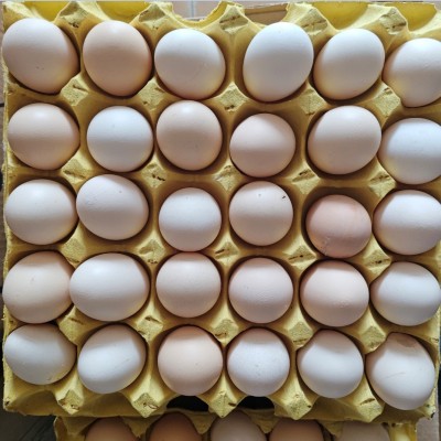 正宗土鸡蛋皖南五谷喂养新鲜散养谷物蛋现捡速发顺丰营养皖南散养