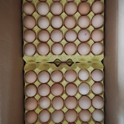 正宗土鸡蛋皖南五谷喂养新鲜散养谷物蛋现捡速发顺丰营养皖南散养图2