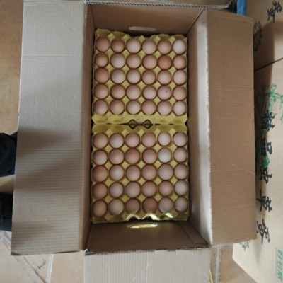 正宗土鸡蛋皖南五谷喂养新鲜散养谷物蛋现捡速发顺丰营养皖南散养图4
