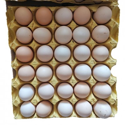 正宗土鸡蛋皖南五谷喂养新鲜散养谷物蛋现捡速发顺丰营养皖南散养图5