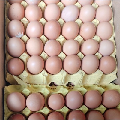 粉壳蛋批发厂家直送皖南土鸡蛋五谷喂养新鲜散养谷物蛋现捡发顺丰图2
