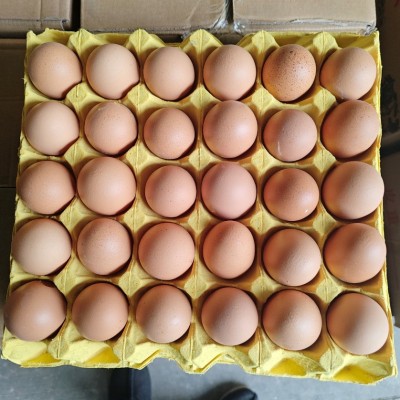 粉壳蛋批发厂家直送皖南土鸡蛋五谷喂养新鲜散养谷物蛋现捡发顺丰图3