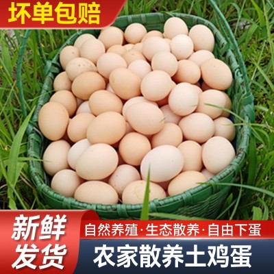 老母鸡蛋皖南土鸡蛋五谷喂养走地散养谷物蛋现捡速发顺丰虫草蛋图4