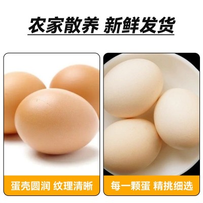 老母鸡蛋皖南土鸡蛋五谷喂养走地散养谷物蛋现捡速发顺丰虫草蛋图2