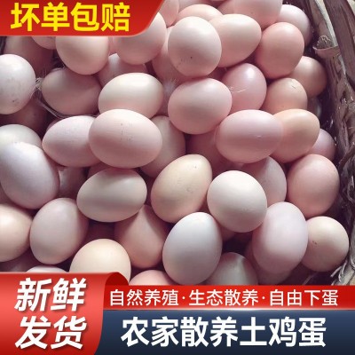 皖南土鸡蛋农家散养鸡蛋月子蛋现捡新鲜鸡蛋谷物本鸡蛋营养月子蛋