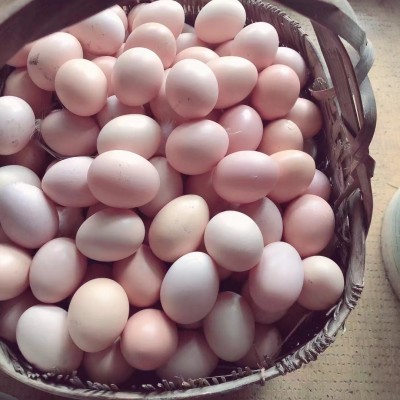 五谷散养虫草走地鸡蛋柴鸡蛋农家林间散养新鲜土鸡蛋草鸡蛋月子蛋图4