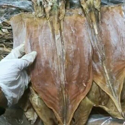 新货阿根廷鱿鱼干纯淡干海鲜烧烤鱿鱼干餐饮源头海鲜干货批货
