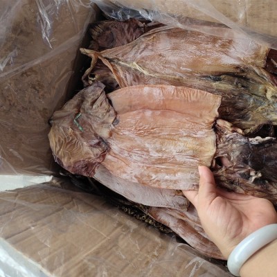 新货阿根廷鱿鱼干纯淡干海鲜烧烤鱿鱼干餐饮源头海鲜干货批货图3