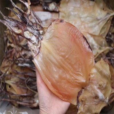 新货阿根廷鱿鱼干纯淡干海鲜烧烤鱿鱼干餐饮源头海鲜干货批货图4