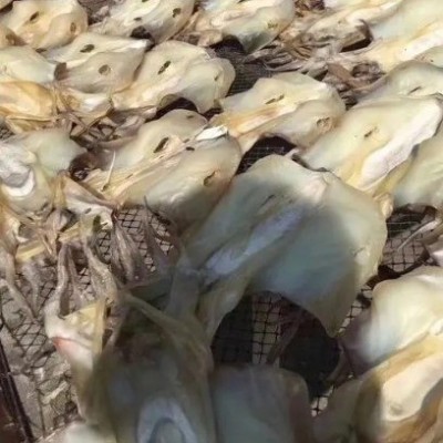 源头厂家墨鱼干海鲜干货墨鱼500克纯淡晒目鱼干货乌贼干淡水煲汤图4