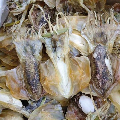 源头厂家墨鱼干海鲜干货墨鱼500克纯淡晒目鱼干货乌贼干淡水煲汤图3