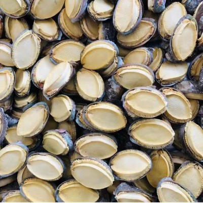 冻干鲍鱼海参工厂批发电商直播代发鲍鱼干货批发冻干鲍鱼礼盒用图2