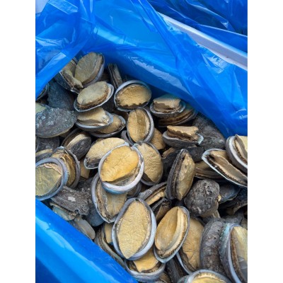 冻干鲍鱼海参工厂批发电商直播代发鲍鱼干货批发冻干鲍鱼礼盒用图3