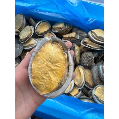 冻干鲍鱼海参工厂批发电商直播代发鲍鱼干货批发冻干鲍鱼礼盒用图5