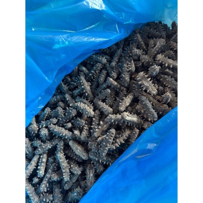 工厂直销大量 干参速发海参干货批发 300-400头 400-500头图2