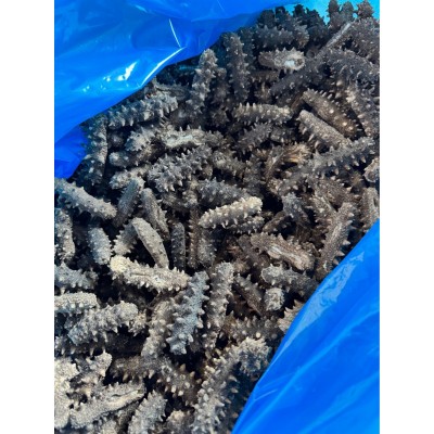 工厂直销大量 干参速发海参干货批发 300-400头 400-500头图3