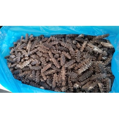 工厂直销大量 干参速发海参干货批发 300-400头 400-500头图5