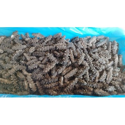 工厂直销大量 干参速发海参干货批发 300-400头 400-500头图4