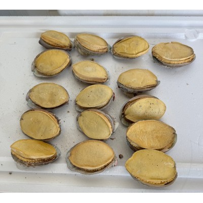 冻干鲍鱼海参工厂批发电商直播代发鲍鱼干货批发冻干鲍鱼图3