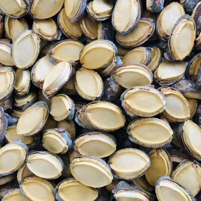 源头工厂现货FD冻干鲍鱼礼盒用直播电商代发带壳鲍鱼干货批发图2