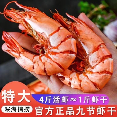 九节虾开袋即食 孕妇零食海鲜干货 山东特产烤虾干大号竹节虾海虾