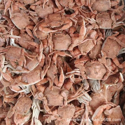 珍珠蟹 蟹类产品加工用小螃蟹 油炸麻辣蟹 干货 量大货优厂家直售图3