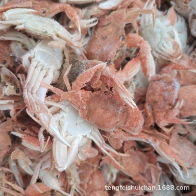 珍珠蟹 蟹类产品加工用小螃蟹 油炸麻辣蟹 干货 量大货优厂家直售图2