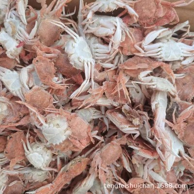 珍珠蟹 蟹类产品加工用小螃蟹 油炸麻辣蟹 干货 量大货优厂家直售