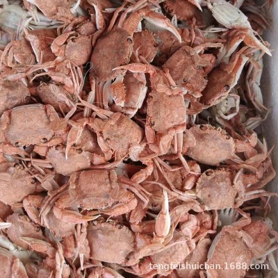 珍珠蟹 蟹类产品加工用小螃蟹 油炸麻辣蟹 干货 量大货优厂家直售图4