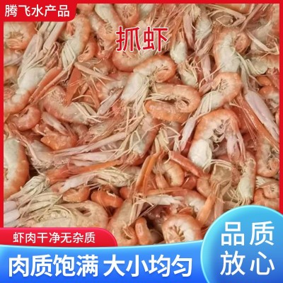 厂家货源熟冻爪虾生鲜海鲜餐饮饭店熟虾对虾香虾盒装现货充足
