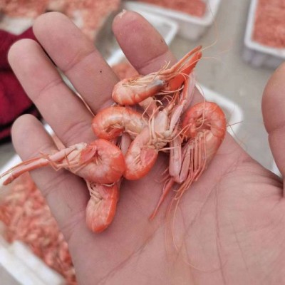 厂家货源熟冻爪虾生鲜海鲜餐饮饭店熟虾对虾香虾盒装现货充足图4