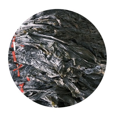 厂家批发整颗干晒干海带头肉厚整颗海带批发工厂代发厂批发图5