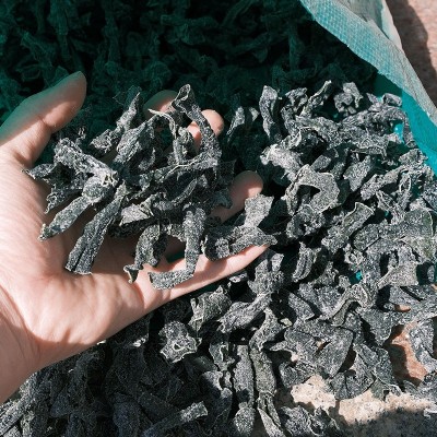 厂家批发海带扣小结海带扣特厚干海带头火锅麻辣烫东关煮图3