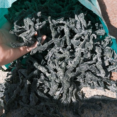 厂家批发海带扣小结海带扣特厚干海带头火锅麻辣烫东关煮图2
