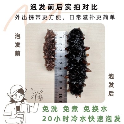 【国标特级】半斤装冷水速发淡干海参24h速发日常滋补送礼长辈