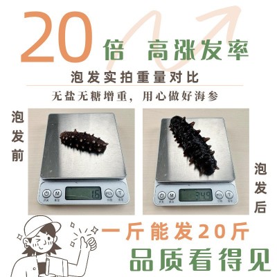 【国标特级】半斤装冷水速发淡干海参24h速发日常滋补送礼长辈图4