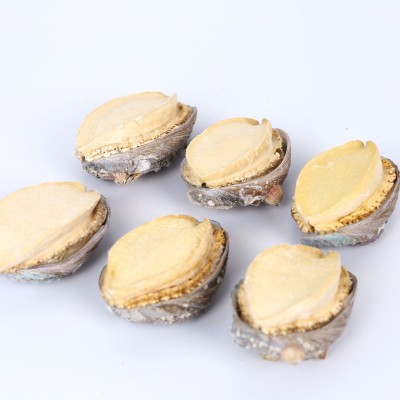 冻干鲍鱼干鲍鱼批发整件批发一件20斤对接平台走量30-55头干鲍鱼图4