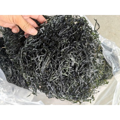 海带丝干货烘干海带丝海带圈圈跑江湖地摊展销餐饮海带丝批发货源