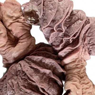 牛肠牛散带半熟全熟牛丸口牛大肠新鲜国产牛肚火锅炖煮牛杂食材批图4