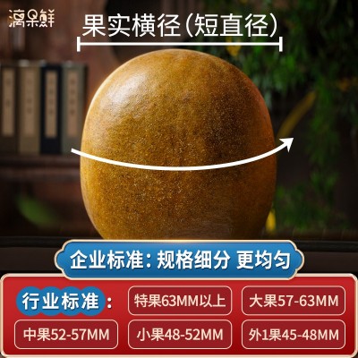 罗汉果干果正广西桂林永特产批发非野生花果茶可配胖大海泡茶图3