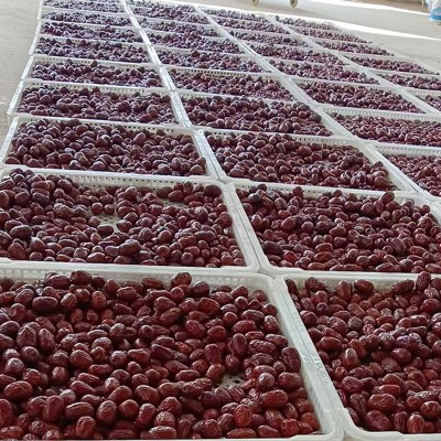 陕北狗头枣清涧佳县大红枣一级二级多级枣子现包源头工厂厂家直销